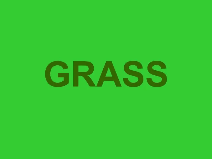 GRASS