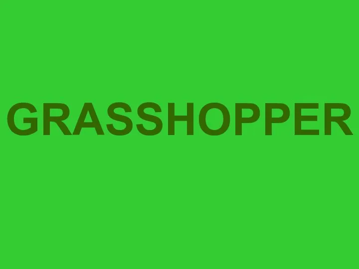 GRASSHOPPER