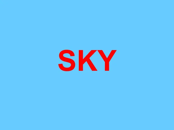 SKY