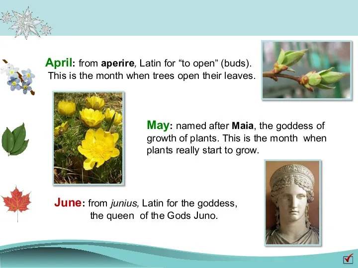 April: from aperire, Latin for “to open” (buds). This is the