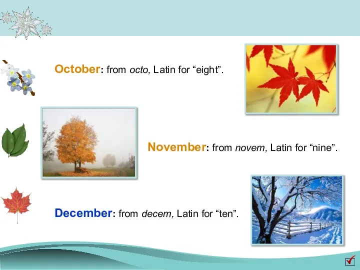 October: from octo, Latin for “eight”. November: from novem, Latin for