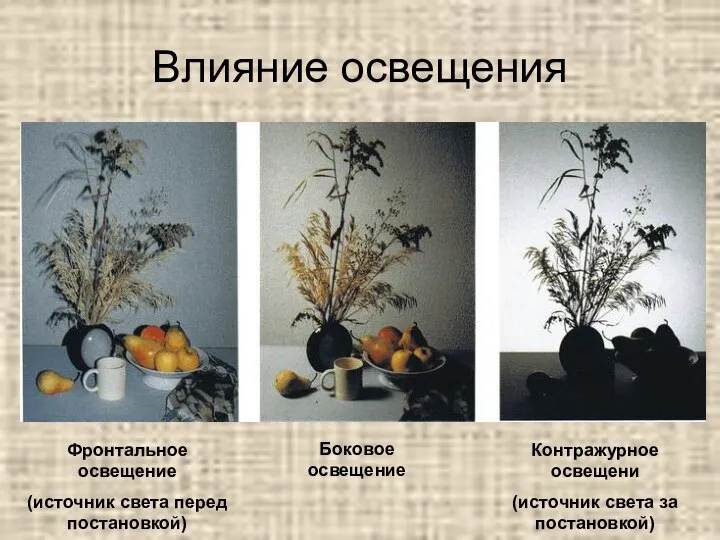 Влияние освещения Фронтальное освещение (источник света перед постановкой) Боковое освещение Контражурное освещени (источник света за постановкой)