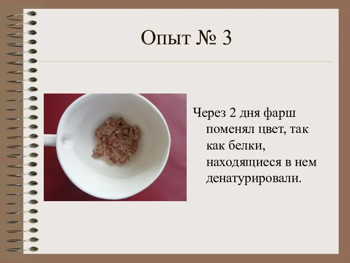 Опыт № 3 Через 2 дня фарш поменял цвет, так как белки, находящиеся в нем денатурировали.