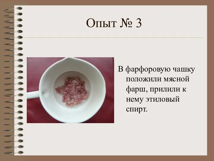 Опыт № 3 В фарфоровую чашку положили мясной фарш, прилили к нему этиловый спирт.