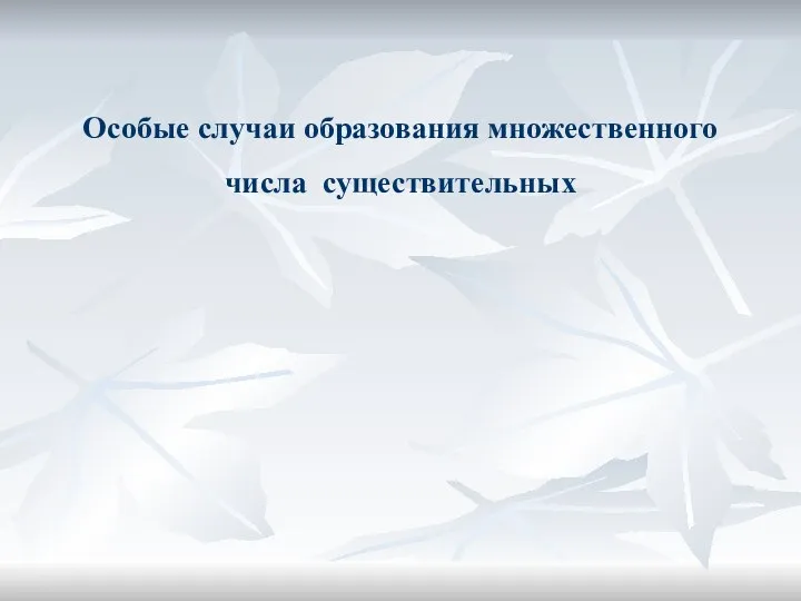 Особые случаи образования множественного числа существительных