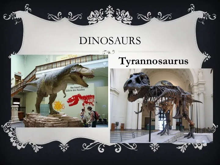 Dinosaurs Tyrannosaurus