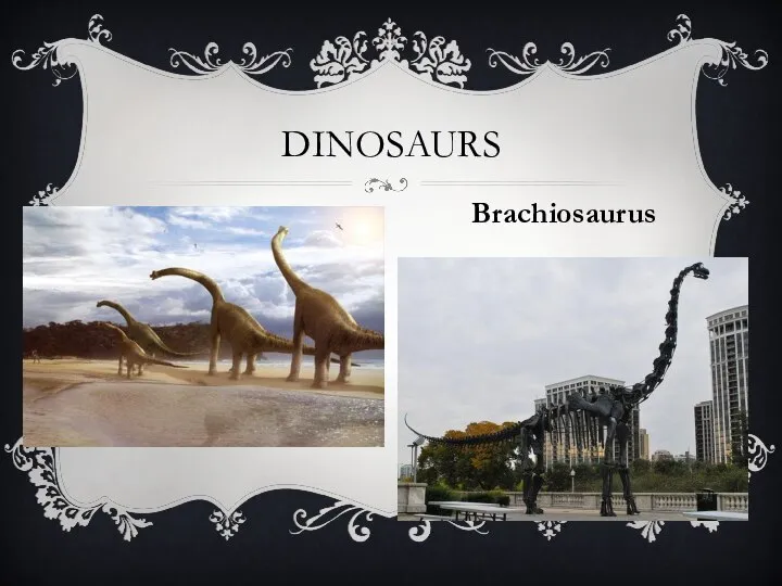 Dinosaurs Brachiosaurus