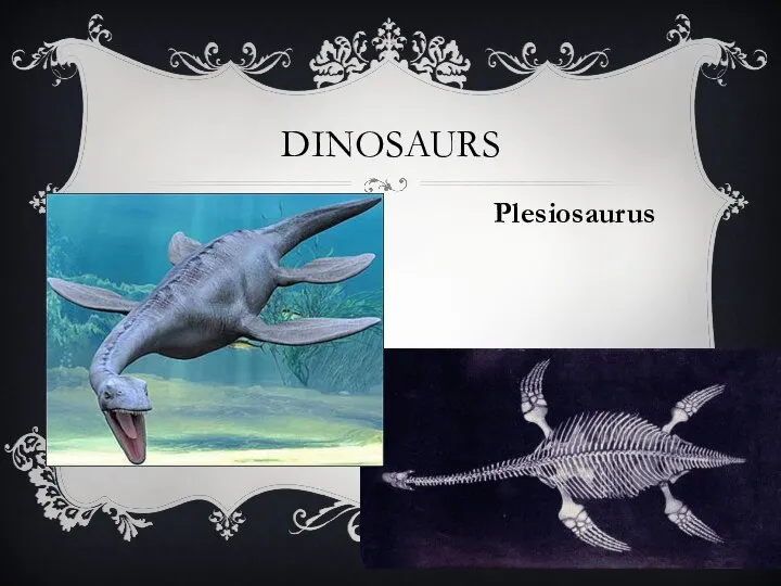 Dinosaurs Plesiosaurus