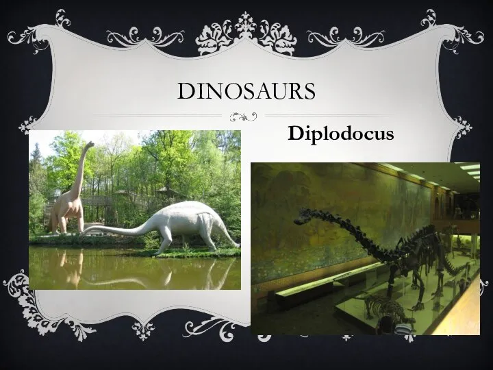 Dinosaurs Diplodocus