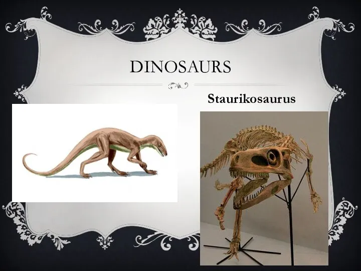 Dinosaurs Staurikosaurus