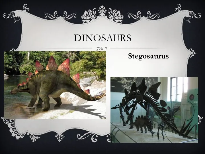 Dinosaurs Stegosaurus