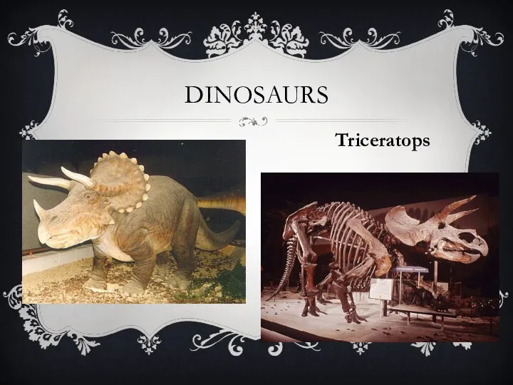 Dinosaurs Triceratops