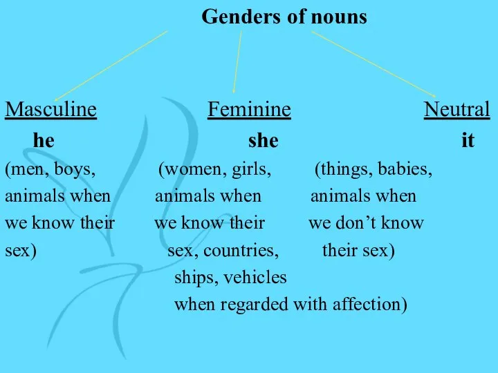 Genders of nouns Masculine Feminine Neutral he she it (men, boys,