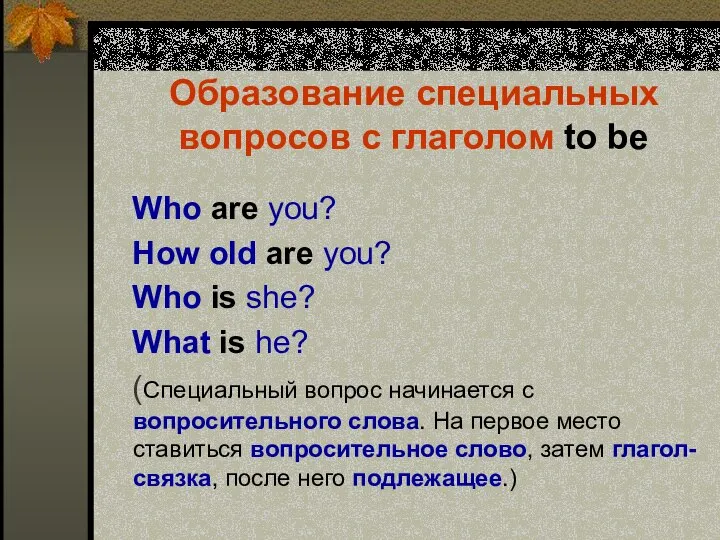 Образование специальных вопросов с глаголом to be Who are you? How