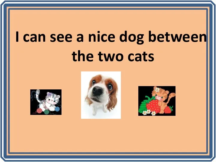 I can see a nice dog between the two cats