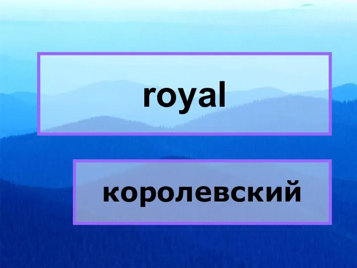 royal royal королевский