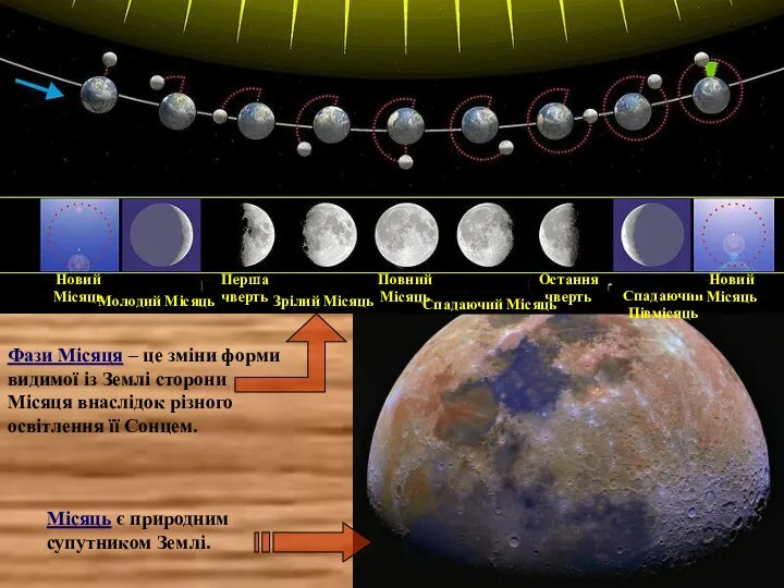 Молодий Місяць Новий Місяць Зрілий Місяць Перша чверть Спадаючий Місяць Повний