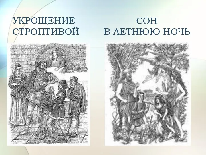 УКРОЩЕНИЕ СТРОПТИВОЙ СОН В ЛЕТНЮЮ НОЧЬ