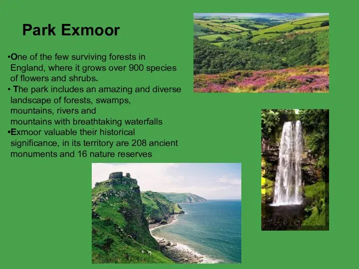 Park Exmoor One of the few surviving forests in England, where