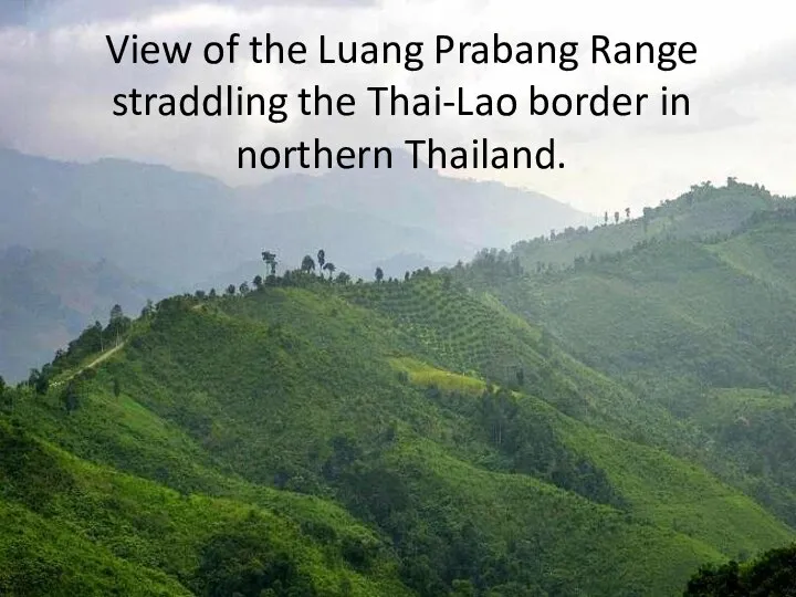 View of the Luang Prabang Range straddling the Thai-Lao border in northern Thailand.