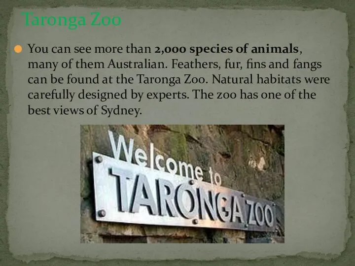 You can see more than 2,000 species of animals, many of