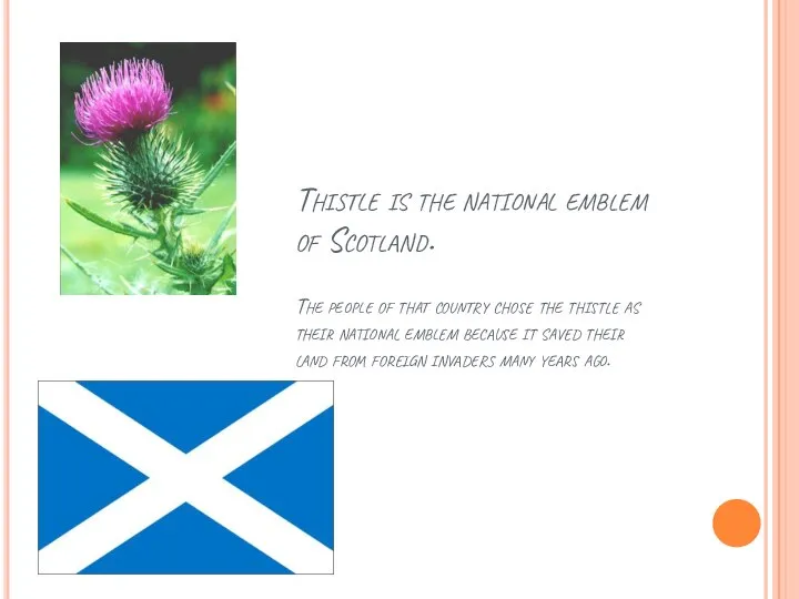 Thistle is the national emblem of Scotland. The people of that