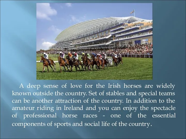 A deep sense of love for the Irish horses are widely
