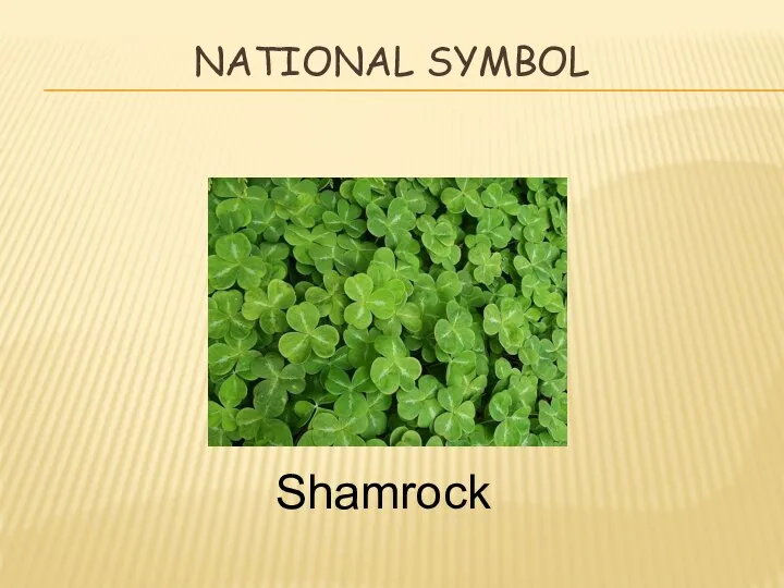 National symbol Shamrock