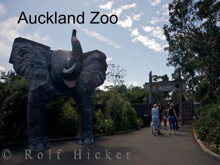 Auckland Zoo