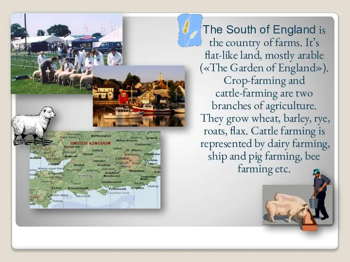 The South of England is the country of farms. It’s flat-like