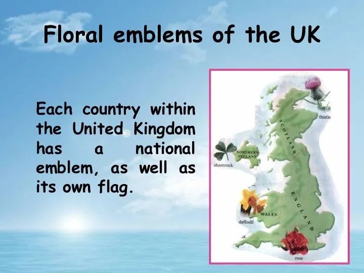 Floral emblems of the UK Each country within the United Kingdom