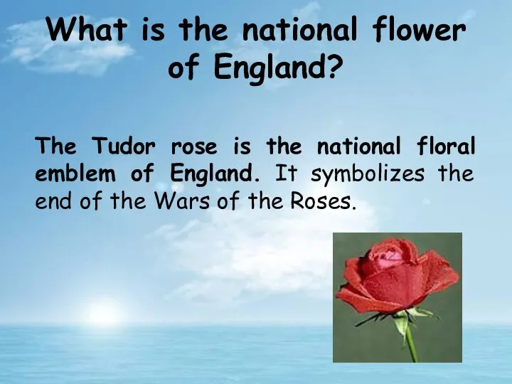 The Tudor rose is the national floral emblem of England. It