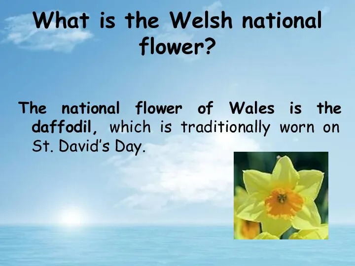 The national flower of Wales is the daffodil, which is traditionally