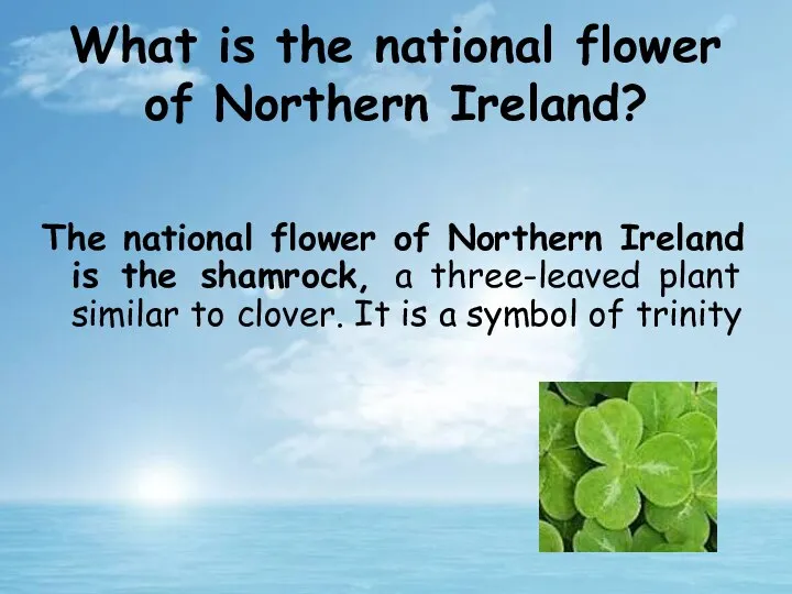 The national flower of Northern Ireland is the shamrock, a three-leaved