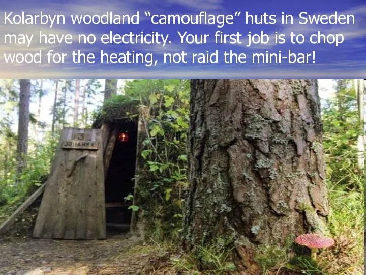 Kolarbyn woodland “camouflage” huts in Sweden may have no electricity. Your