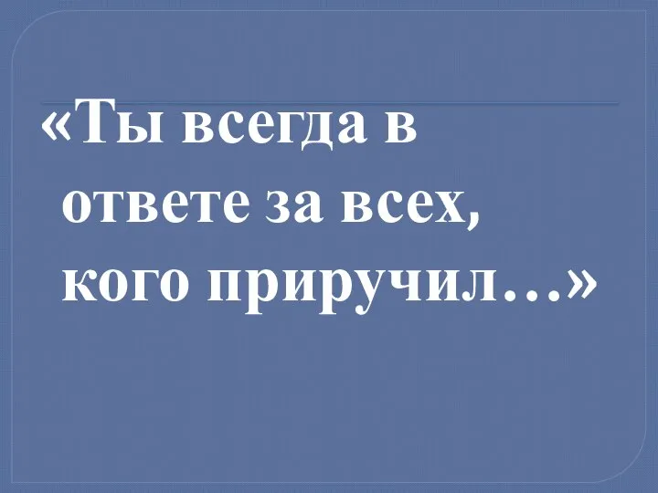 «Ты всегда в ответе за всех, кого приручил…»