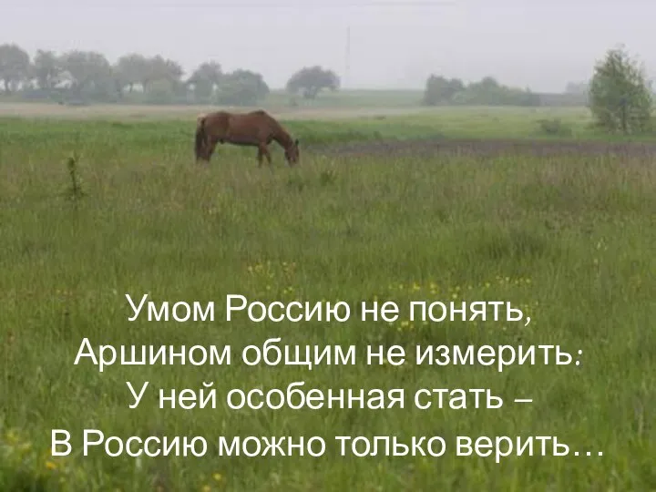 Умом Россию не понять, Аршином общим не измерить: У ней особенная