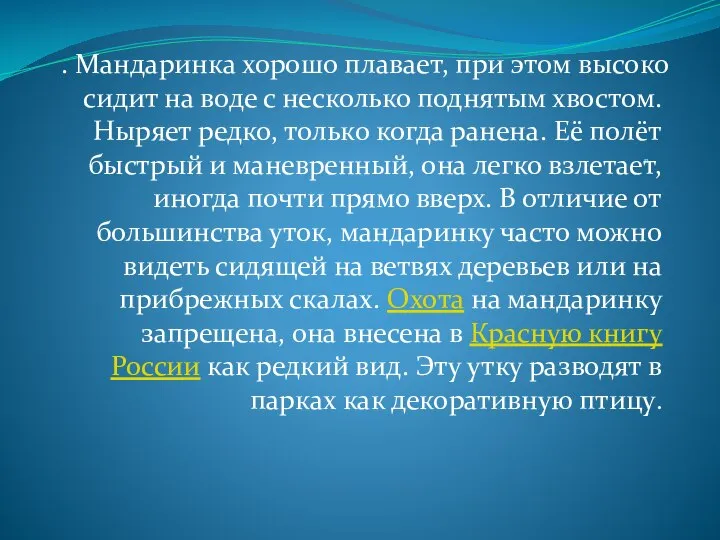 в . Мандаринка хорошо плавает, при этом высоко сидит на воде