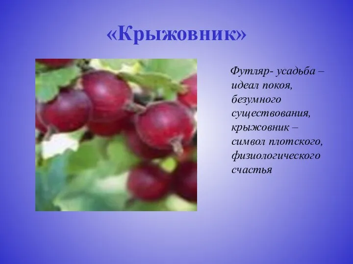 «Крыжовник» Футляр- усадьба – идеал покоя, безумного существования, крыжовник – символ плотского, физиологического счастья