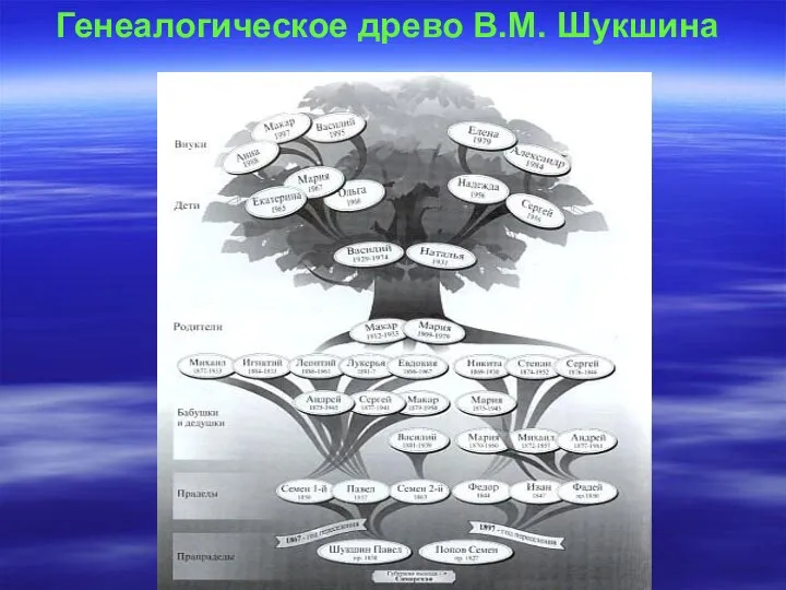 Генеалогическое древо В.М. Шукшина