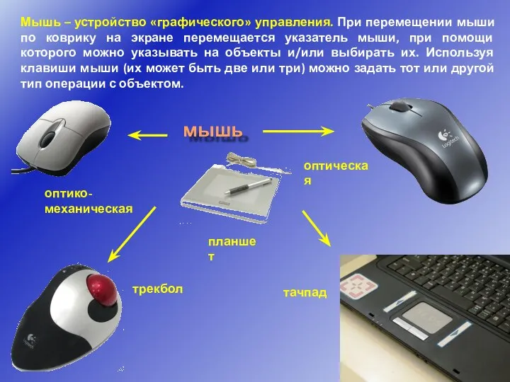 Мышь – устройство «графического» управления. При перемещении мыши по коврику на