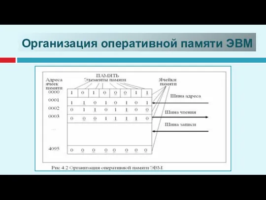 Организация оперативной памяти ЭВМ