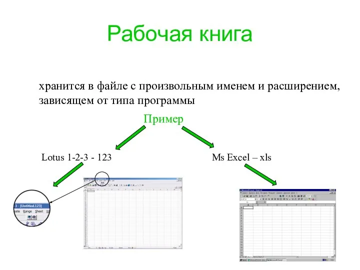 Рабочая книга хранится в файле с произвольным именем и расширением, зависящем