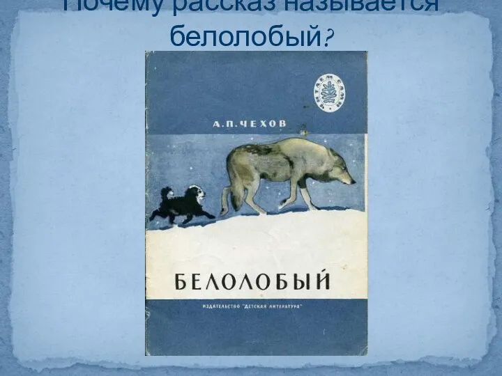 Почему рассказ называется белолобый?