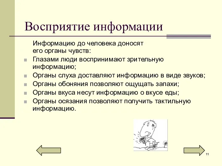 Восприятие информации Информацию до человека доносят его органы чувств: Глазами люди