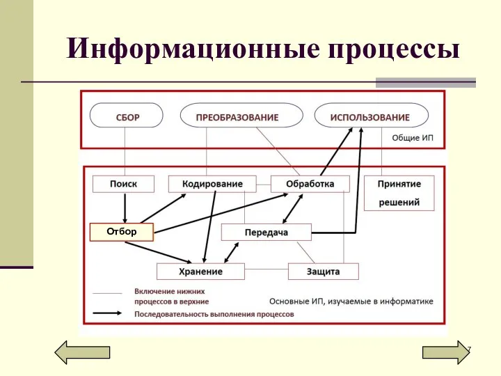 Информационные процессы Отбор