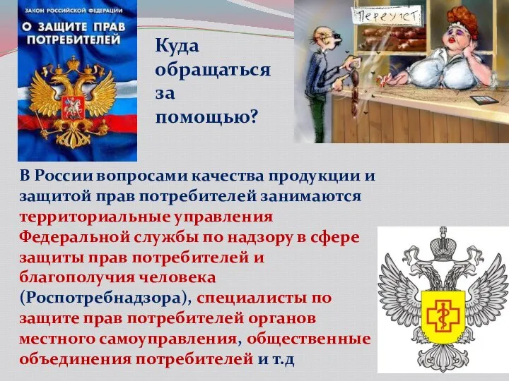 Куда обращаться за помощью? В России вопросами качества продукции и защитой