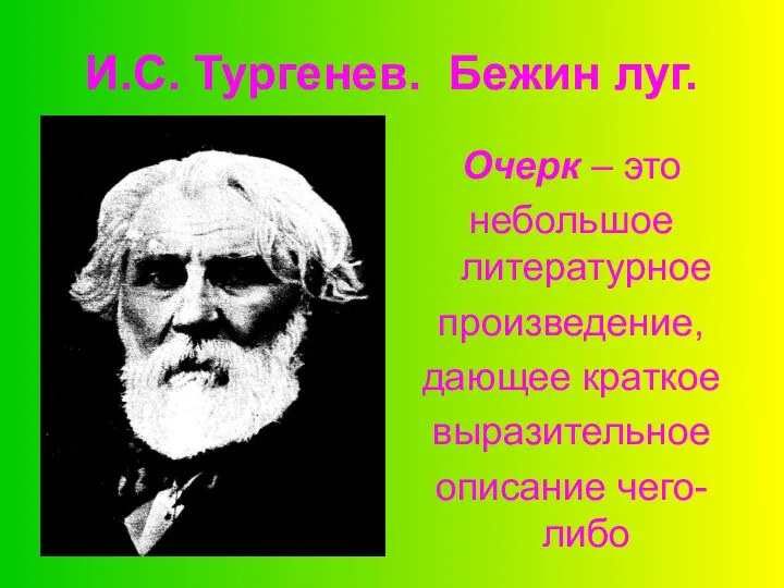 И.С. Тургенев. Бежин луг. Очерк – это небольшое литературное произведение, дающее краткое выразительное описание чего-либо