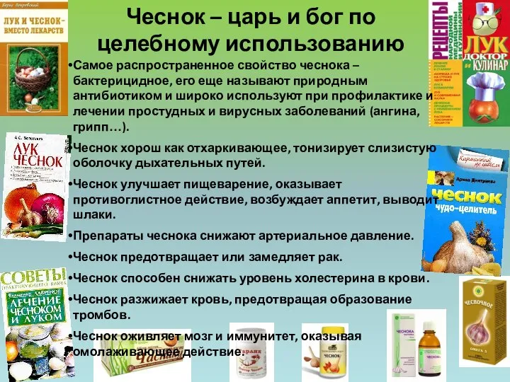 Чеснок – царь и бог по целебному использованию Самое распространенное свойство