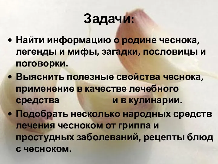 Задачи: Найти информацию о родине чеснока, легенды и мифы, загадки, пословицы